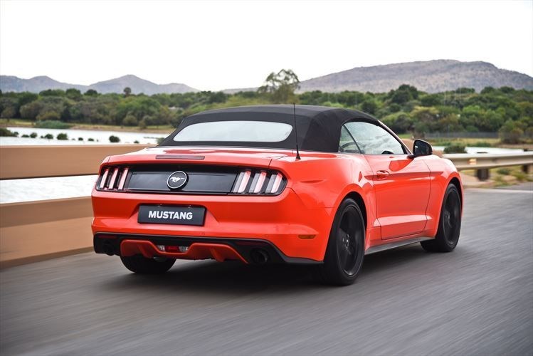 autodealer_2092_3.jpg