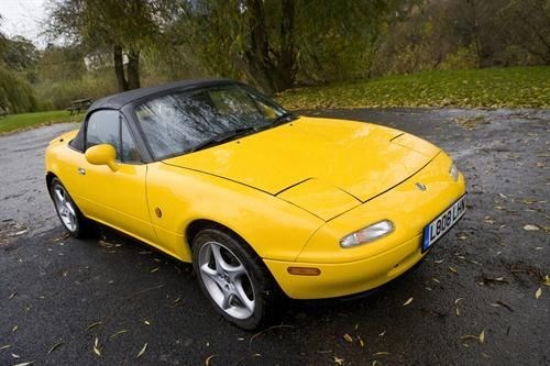 autodealer_2133_4.jpg