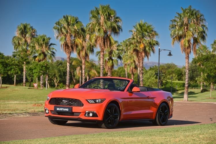 autodealer_2133_5.jpg