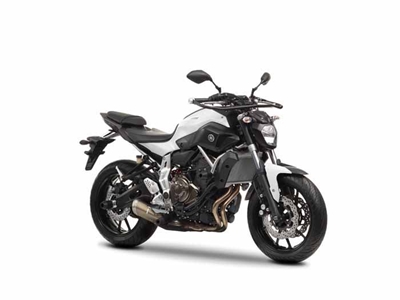Yamaha torqueing about new models