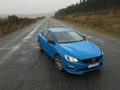 Call of the wild, Volvo style
