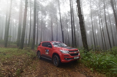 Trailblazing to Magoebaskloof