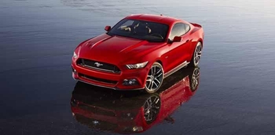 New Mustang a stunning wild horse