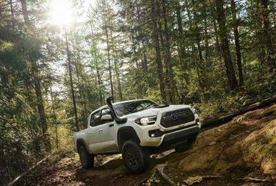Toyota hits Chicago with trio of TRD infused off-roaders