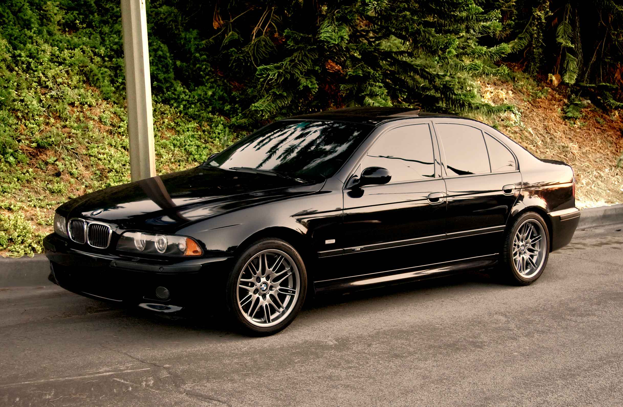 Road Worthy for who?-Autodealer