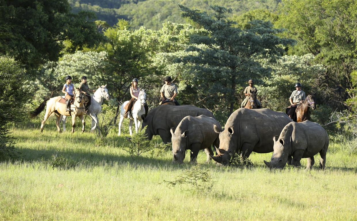 Holiday destinations in Limpopo-Autodealer