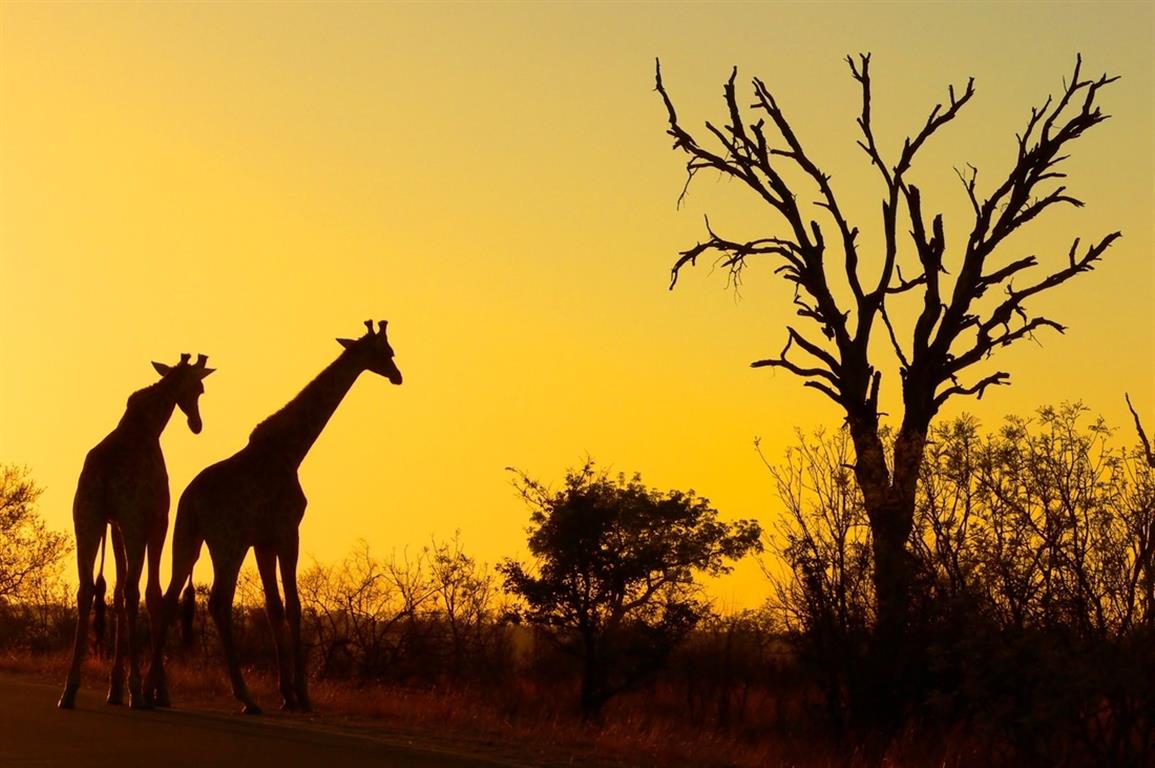 Holiday destinations in Limpopo-Autodealer