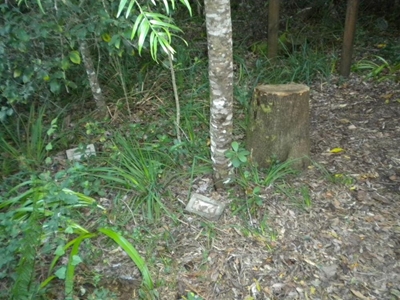 Memorial plagues stolen at reserve