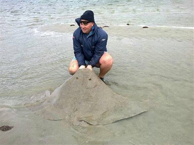 Diamond ray caught and released