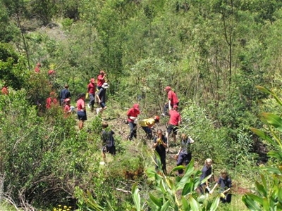 Cleaning the estuary as nature intends