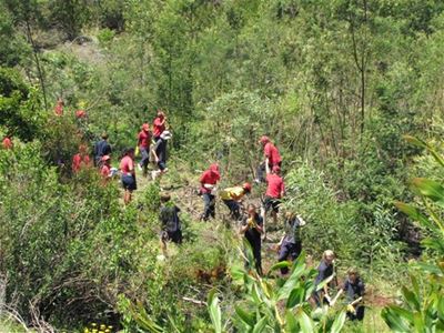 Cleaning the estuary as nature intends