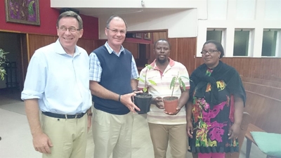 Avo's for Life project takes flight