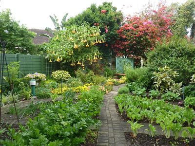 The pleasures of plant pairing
