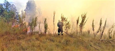 Fire near Friemersheim