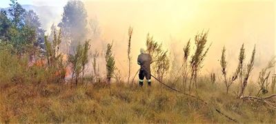 Fire near Friemersheim