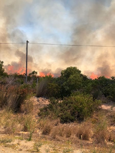 Gouritsmond-brand onder beheer