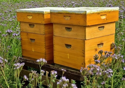 Gardeners getting together on Sunday