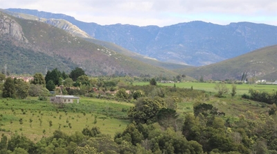 Die Vleie trail run a total joy