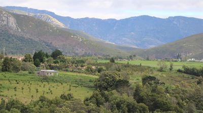 Die Vleie trail run a total joy