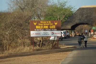 Kruger National Park: 82 rhinos killed in first half of 2022