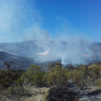 Houses threatened by fire