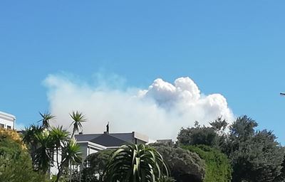 Beheerde brand onder beheer