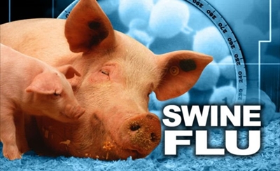 African swine fever claims thousands of pigs in Zambia