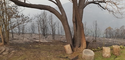 Garden Route fires update: 3 November