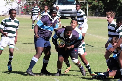 Mixed bag of results