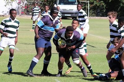Mixed bag of results
