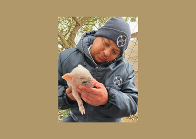 The importance of looking after your livestock