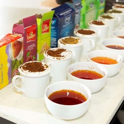 True Or False Test Your Knowledge Of Tea Suid Kaap Forum True Or False Test Your Knowledge Of Tea Suid Kaap Forum