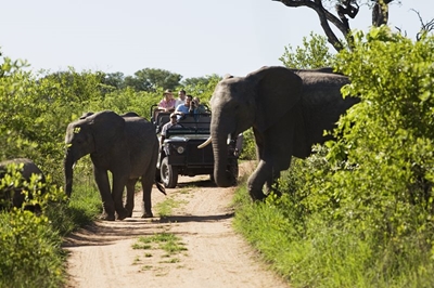 Is it safe to go on safari in Africa?