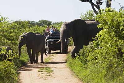 Is it safe to go on safari in Africa?