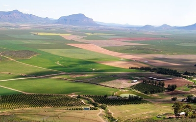 Agri interventions key to Ramaphosa’s economic stimulus package
