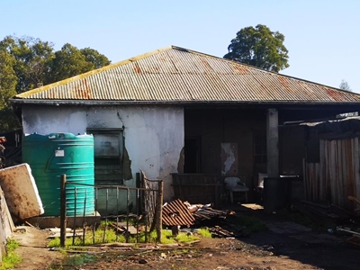 Waternood by 'Die Plasie': Inwoners skep water uit trôe drinkbakke vir diere