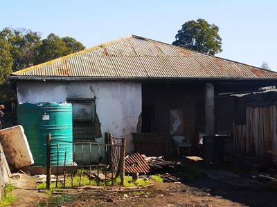 Waternood by 'Die Plasie': Inwoners skep water uit trôe drinkbakke vir diere