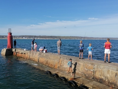 Stilbaai hawemuur gaan agteruit
