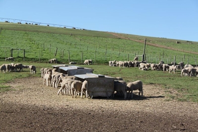 Boer van die jaar praat uit die hart