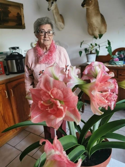 Liefde sorg vir vroeë blomtyd