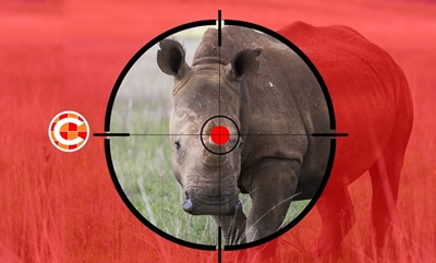 No mercy for KNP poachers in Skukuza court
