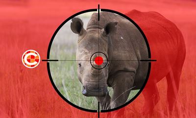 No mercy for KNP poachers in Skukuza court