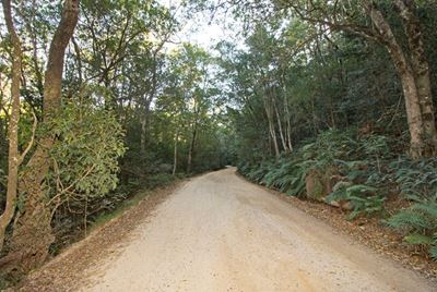 ‘Desired state’ of Garden Route National Park 
