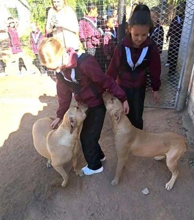 Parents and learners donate towards animals