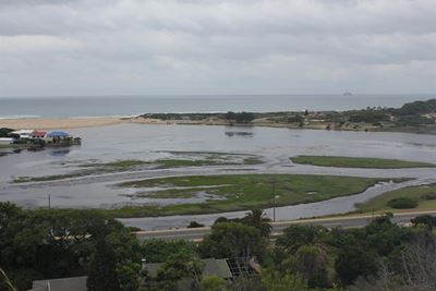 'Fish are dying elsewhere too'