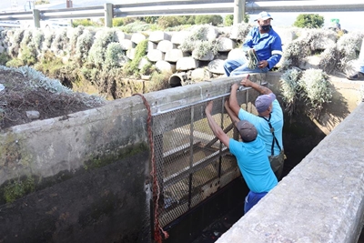 Proactive partnerships protect Knysna Estuary