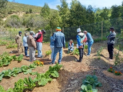 Planting seeds for food security