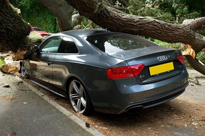 Understanding car insurance: How much coverage do you really need?