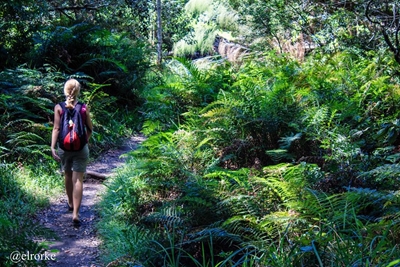 Take a hike... and enjoy it