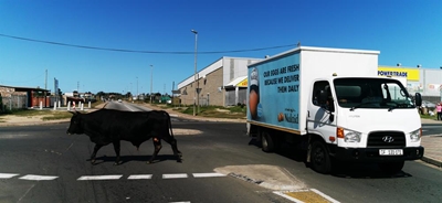 Trucking continues 'robustly'